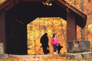 Autumn Walk through Covered Bridge